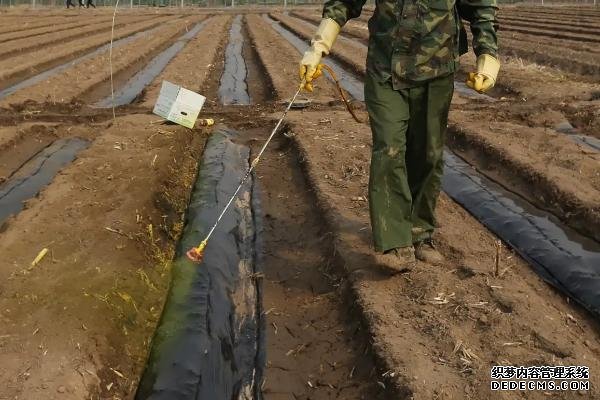 过量使用封闭除草剂的后果